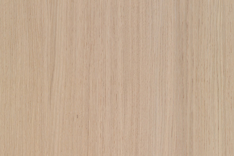 113100180 - Fan MDF Shinnoki Premium Milk Oak 19x2790x1240