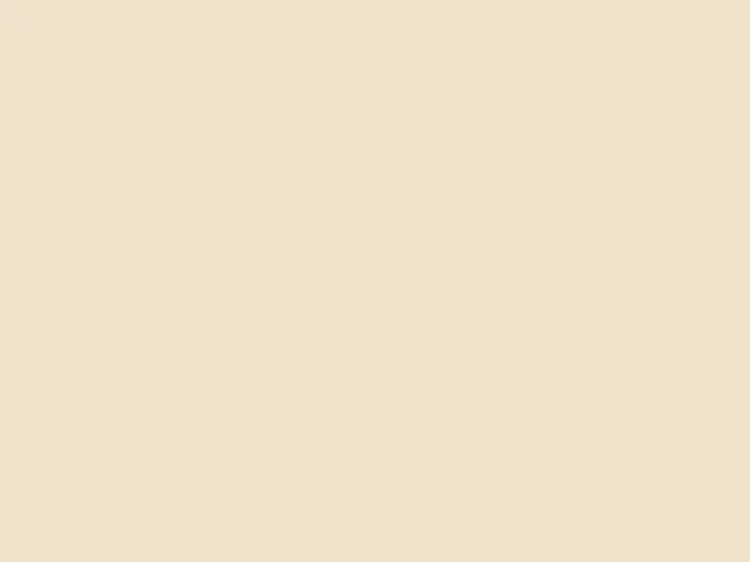 152100410 - MFC Carat Beige U115 st9 19x2800x2070