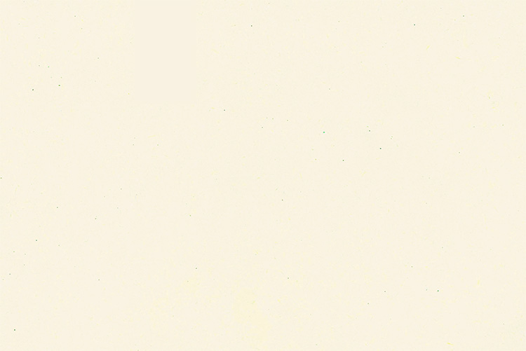 112400137 - Valchromat White Pearl WP E05 19x2440x1220