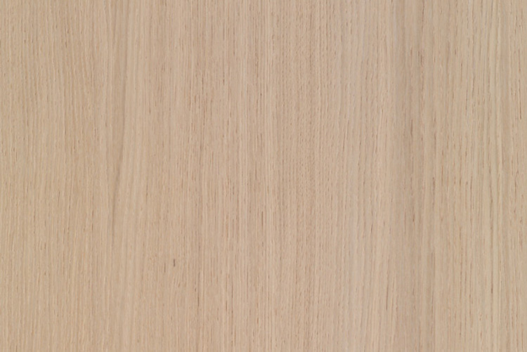 113100180 - Fan MDF Shinnoki Premium Milk Oak 19x2790x1240