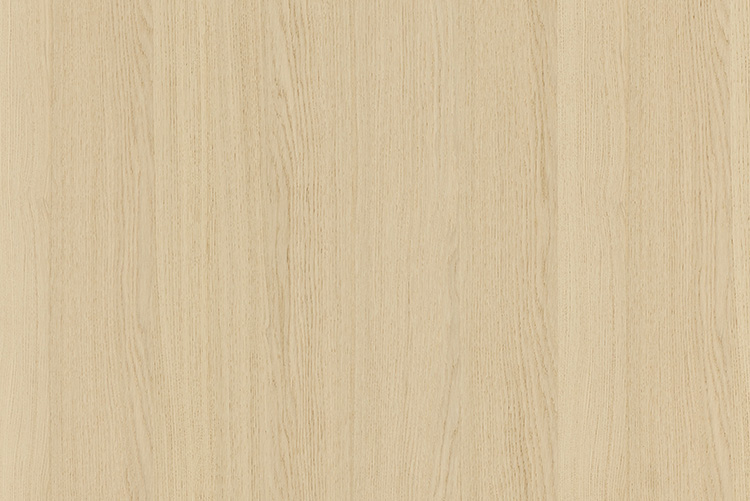 164500029 - Shinnoki Milk Oak 100m Veneer Edge Band 0,6x24mm