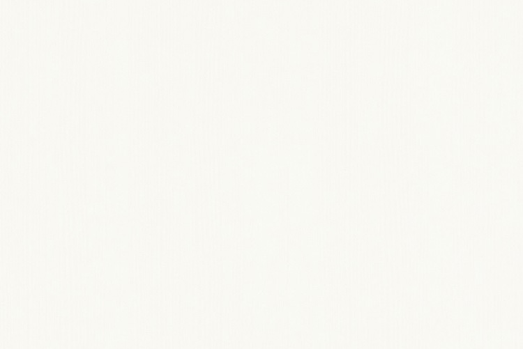 413000030 - ClicWall Fwh linew 025 W03 2 pcs/pack 10x2785x618